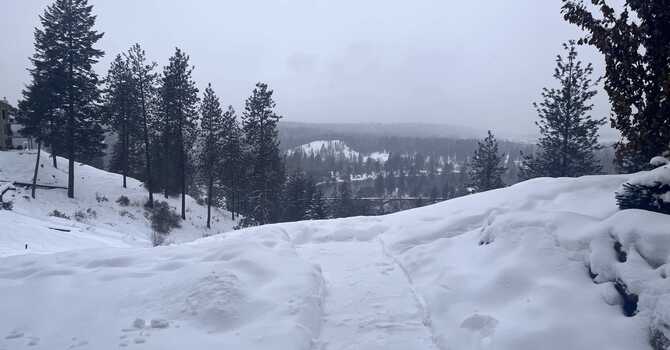 Winter's Wisdom: How to Flow with the Season image